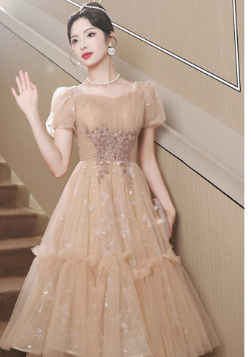 French Retro Sweet Fairy Dress with Heavy Embroidery